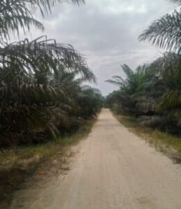 IMG-20261011-WA0010~3