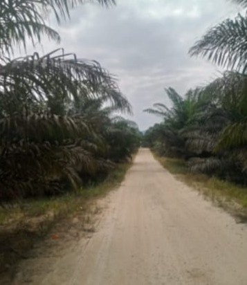 IMG-20261011-WA0010~3